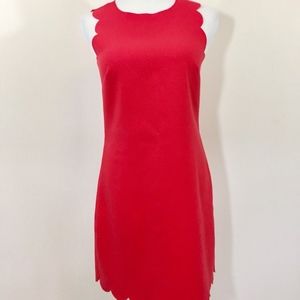 J Crew Scalloped Shift Dress 63746 In Coral Pink
